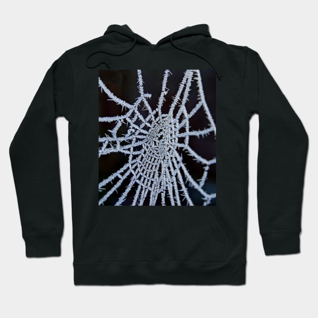 Frozen Web Hoodie by Nigdaw